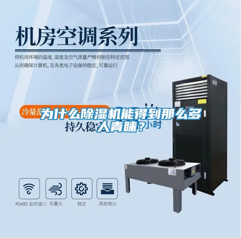 為什么除濕機能得到那么多人青睞？
