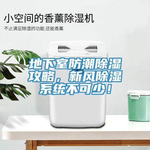 地下室防潮除濕攻略，新風除濕系統(tǒng)不可少！