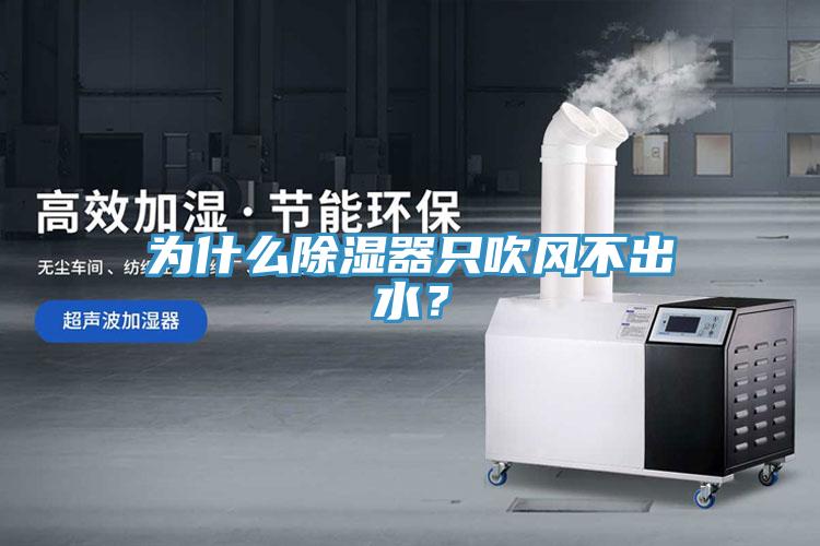 為什么除濕器只吹風不出水？