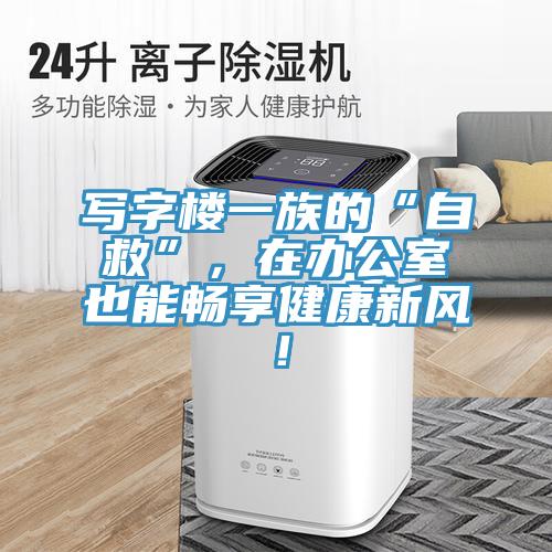 寫字樓一族的“自救”，在辦公室也能暢享健康新風(fēng)！