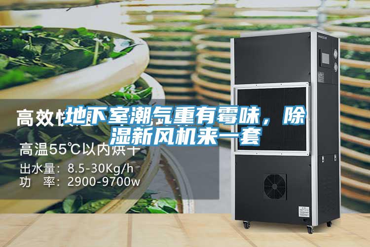 地下室潮氣重有霉味，除濕新風(fēng)機(jī)來一套