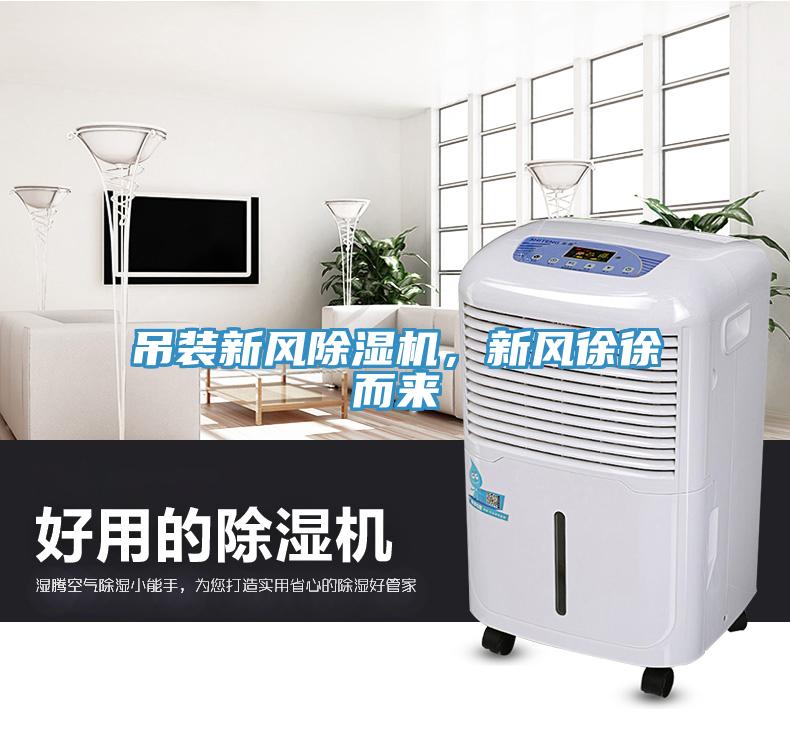 吊裝新風(fēng)除濕機(jī)，新風(fēng)徐徐而來