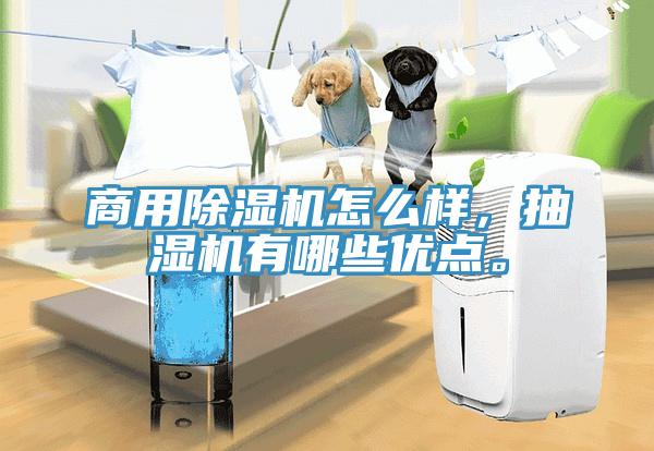 商用除濕機(jī)怎么樣，抽濕機(jī)有哪些優(yōu)點(diǎn)。