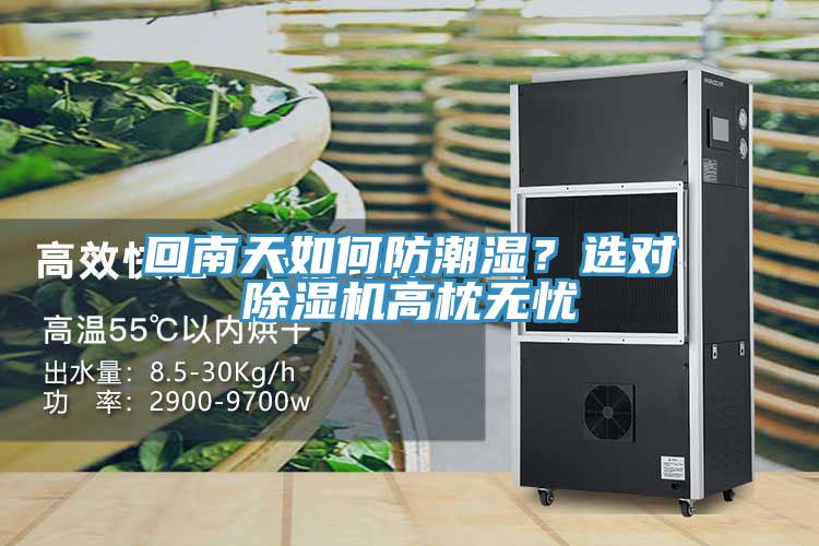 回南天如何防潮濕？選對除濕機高枕無憂