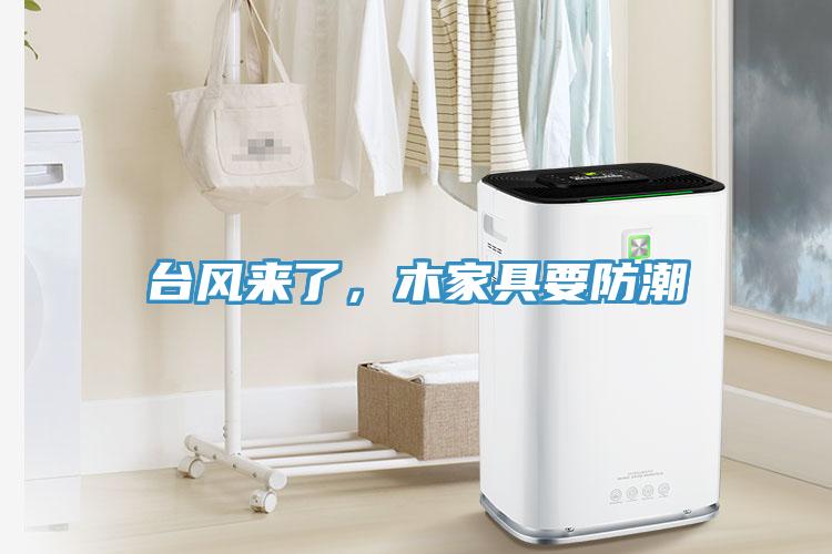 臺(tái)風(fēng)來(lái)了，木家具要防潮