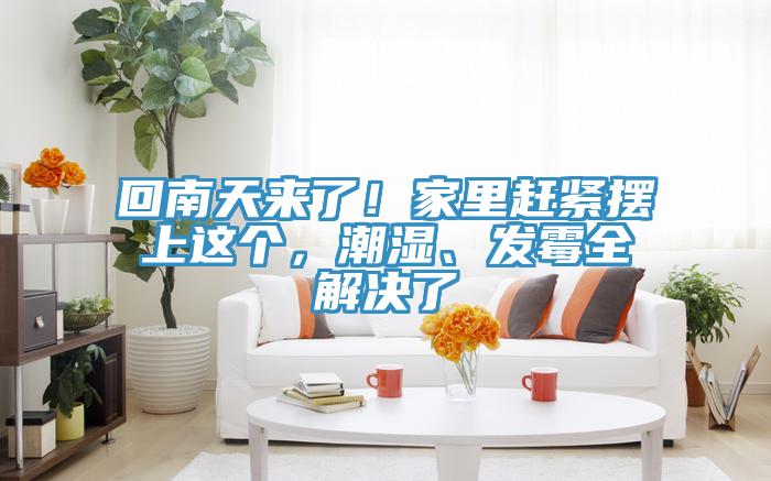 回南天來了！家里趕緊擺上這個(gè)，潮濕、發(fā)霉全解決了