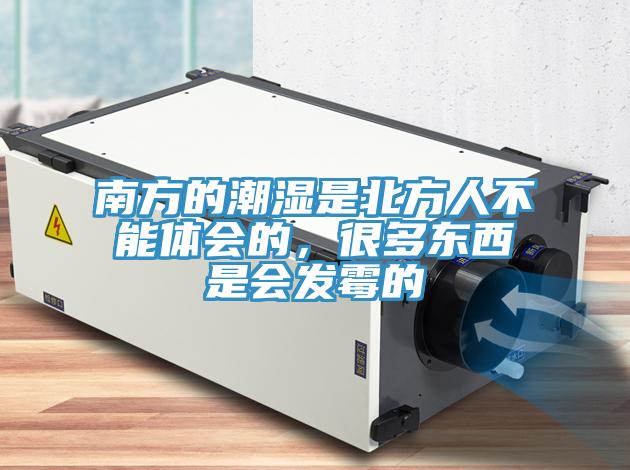南方的潮濕是北方人不能體會的，很多東西是會發(fā)霉的