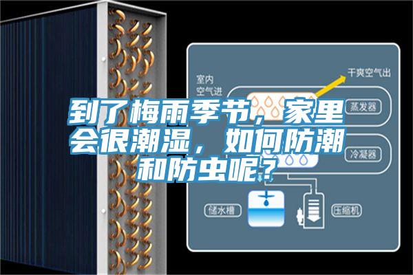 到了梅雨季節(jié)，家里會很潮濕，如何防潮和防蟲呢？