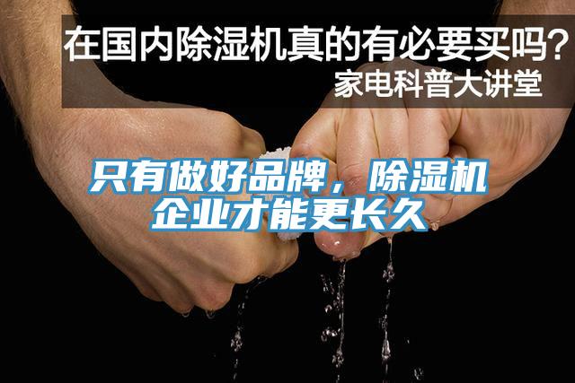 只有做好品牌，除濕機(jī)企業(yè)才能更長久