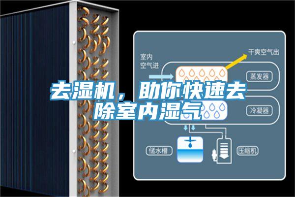 去濕機，助你快速去除室內(nèi)濕氣