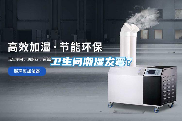 衛(wèi)生間潮濕發(fā)霉？