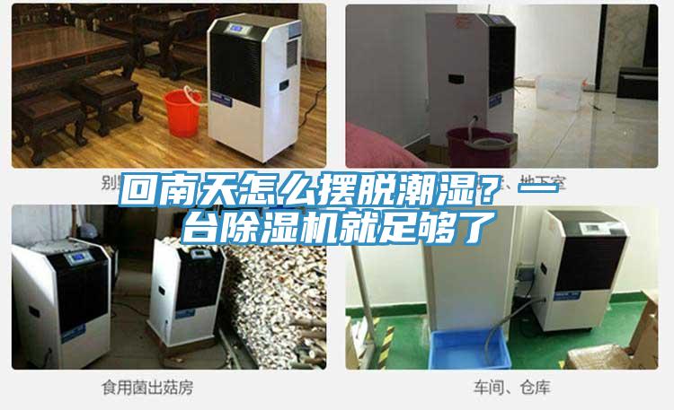 回南天怎么擺脫潮濕？一臺除濕機(jī)就足夠了