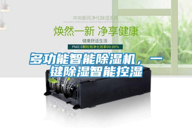 多功能智能除濕機(jī)，一鍵除濕智能控濕