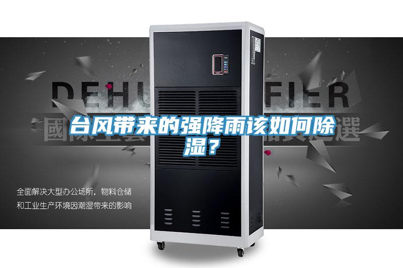 臺風(fēng)帶來的強(qiáng)降雨該如何除濕？