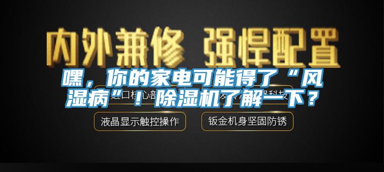 嘿，你的家電可能得了“風濕病”！除濕機了解一下？