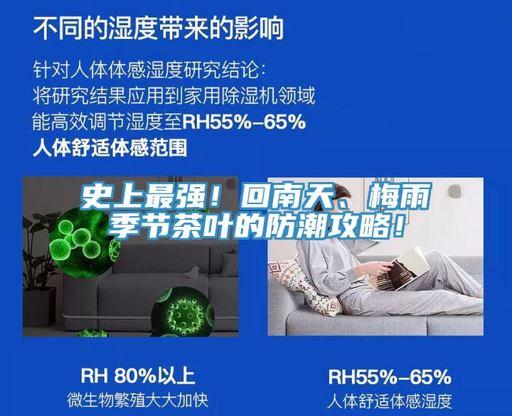史上最強！回南天、梅雨季節(jié)茶葉的防潮攻略！