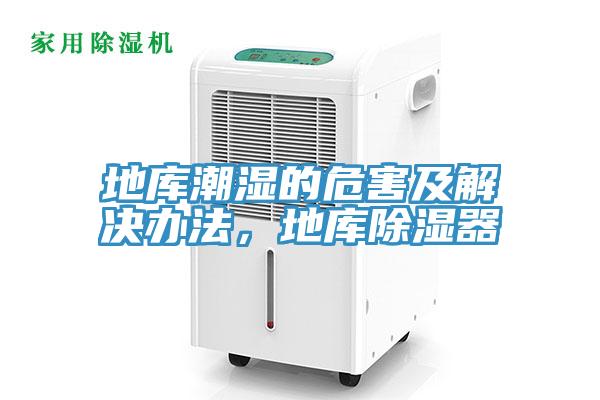 地庫(kù)潮濕的危害及解決辦法，地庫(kù)除濕器