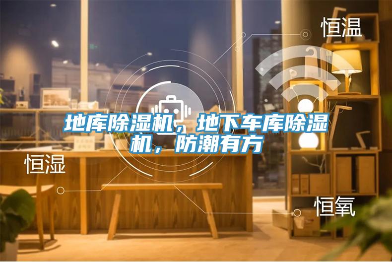 地庫(kù)除濕機(jī)，地下車(chē)庫(kù)除濕機(jī)，防潮有方