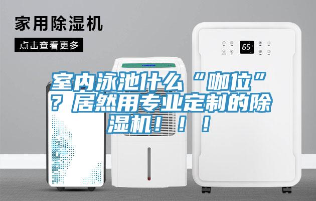 室內(nèi)泳池什么“咖位”？居然用專(zhuān)業(yè)定制的除濕機(jī)?。。?/></p>
                            <p style=