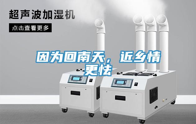 因?yàn)榛啬咸?，近鄉(xiāng)情更怯