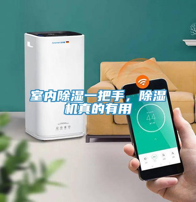室內(nèi)除濕一把手，除濕機真的有用