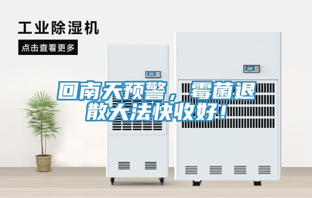 回南天預(yù)警，霉菌退散大法快收好！