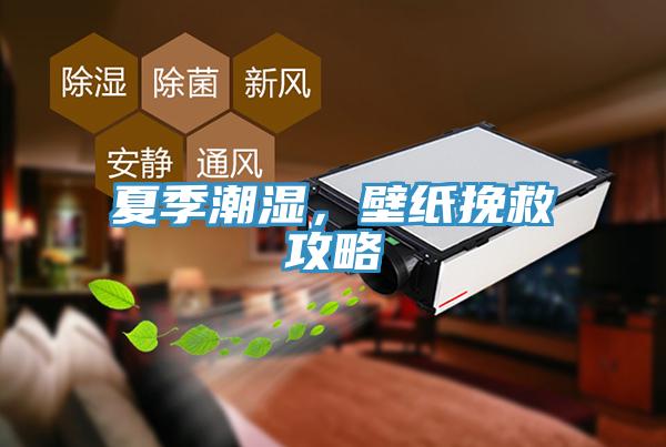 夏季潮濕，壁紙挽救攻略