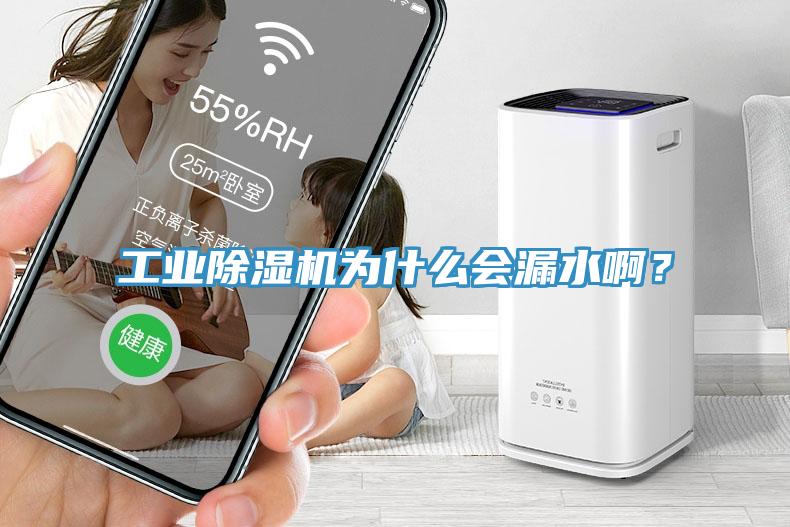 工業(yè)除濕機(jī)為什么會(huì)漏水??？