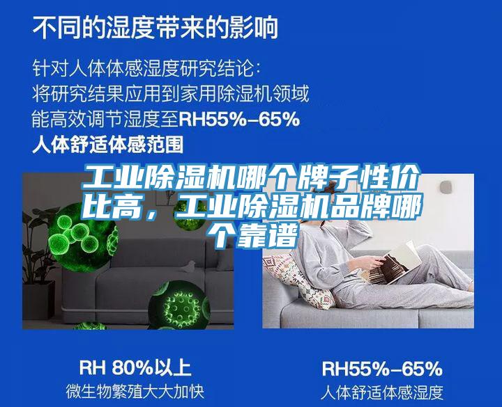 工業(yè)除濕機(jī)哪個(gè)牌子性價(jià)比高，工業(yè)除濕機(jī)品牌哪個(gè)靠譜