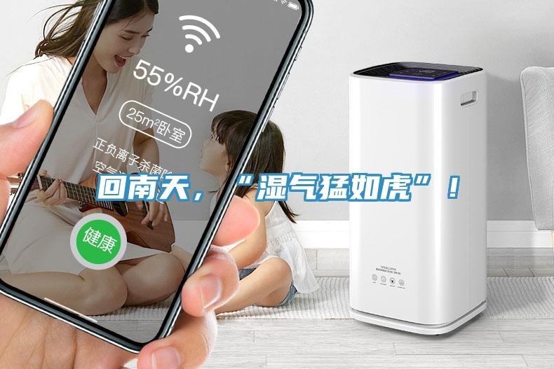 回南天，“濕氣猛如虎”！