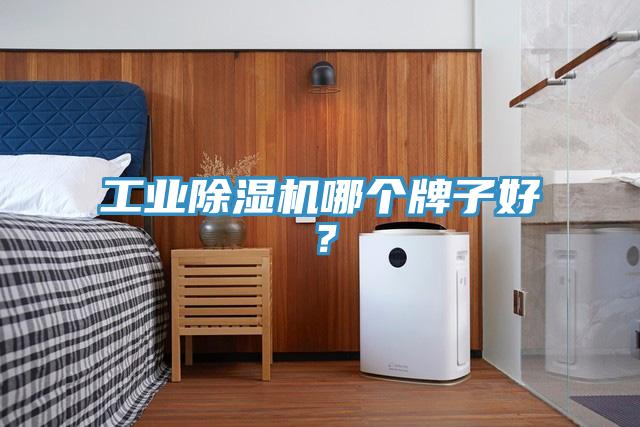 工業(yè)除濕機(jī)哪個(gè)牌子好？