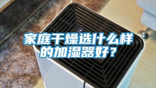 家庭干燥選什么樣的加濕器好？