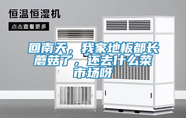 回南天，我家地板都長蘑菇了，還去什么菜市場呀