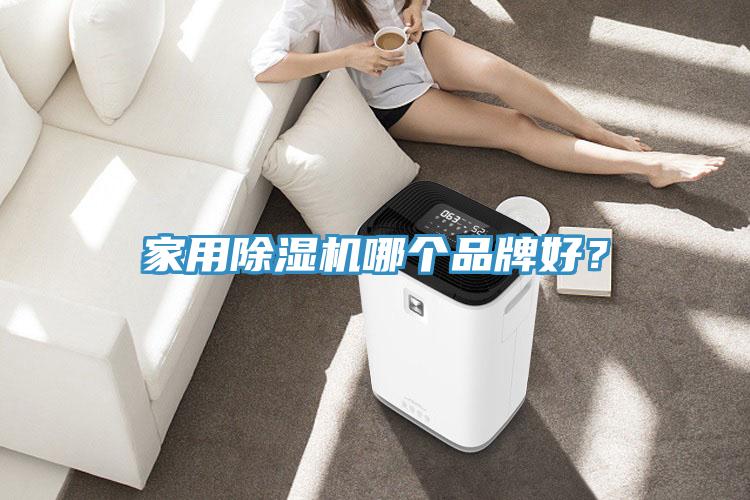 家用除濕機(jī)哪個(gè)品牌好？