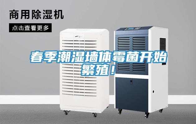 春季潮濕墻體霉菌開始繁殖！