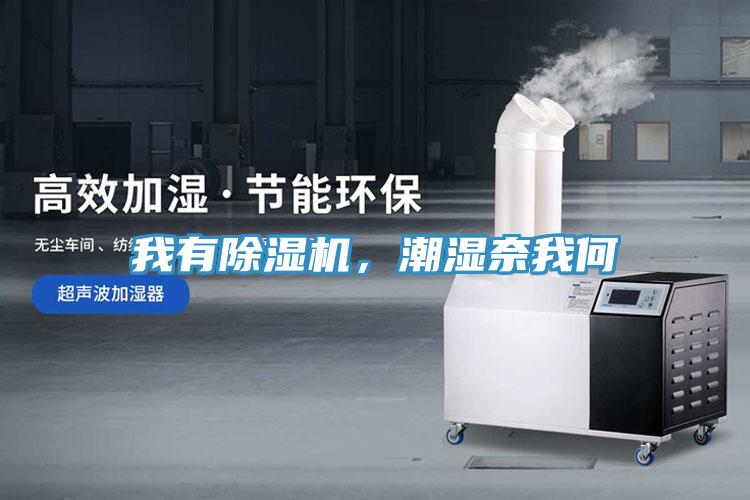 我有除濕機，潮濕奈我何