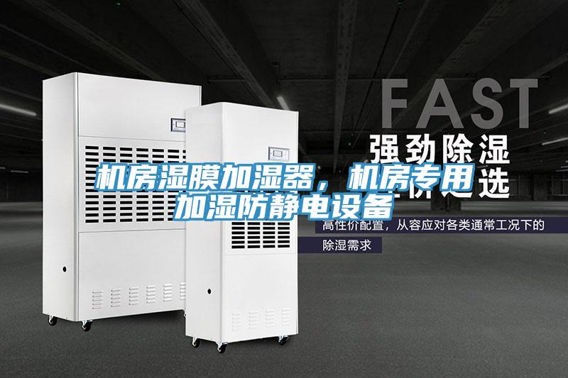 機(jī)房濕膜加濕器，機(jī)房專用加濕防靜電設(shè)備