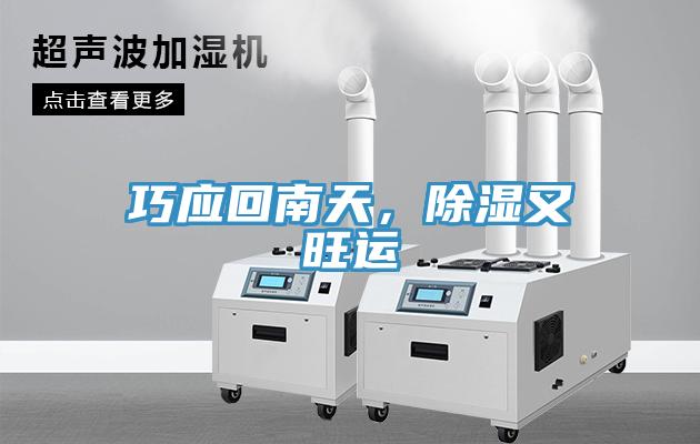 巧應(yīng)回南天，除濕又旺運