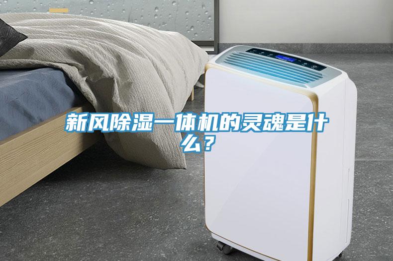 新風(fēng)除濕一體機(jī)的靈魂是什么？