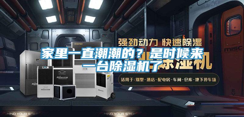 家里一直潮潮的？是時候來一臺除濕機了