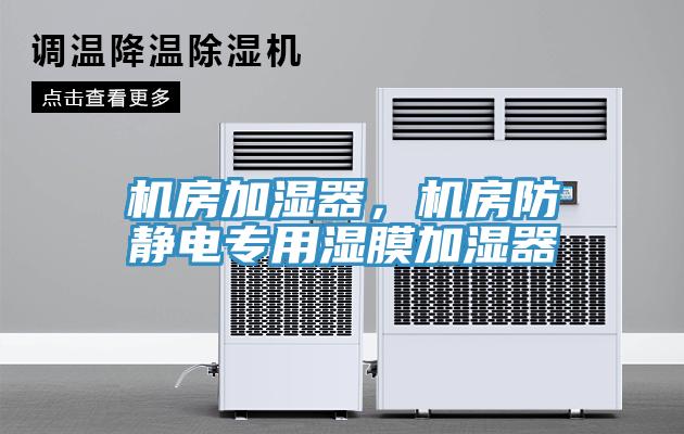 機(jī)房加濕器，機(jī)房防靜電專用濕膜加濕器