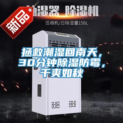 拯救潮濕回南天，30分鐘除濕防霉，干爽如秋
