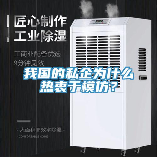 我國的私企為什么熱衷于模仿？