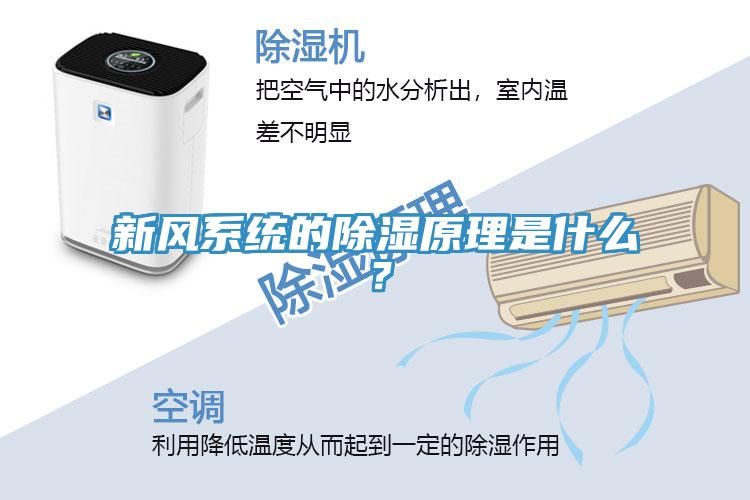 新風(fēng)系統(tǒng)的除濕原理是什么？