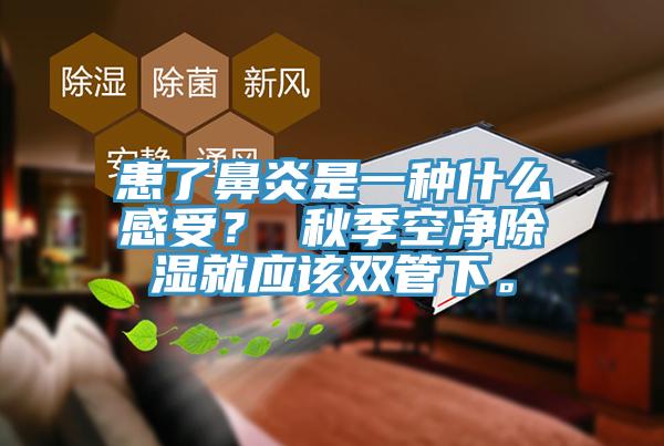 患了鼻炎是一種什么感受？ 秋季空凈除濕就應(yīng)該雙管下。