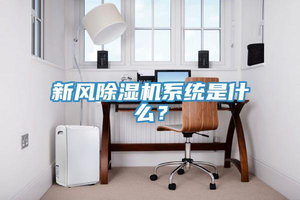 新風除濕機系統(tǒng)是什么？