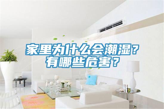 家里為什么會(huì)潮濕？有哪些危害？