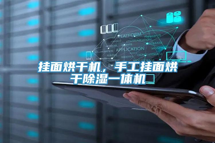 掛面烘干機，手工掛面烘干除濕一體機