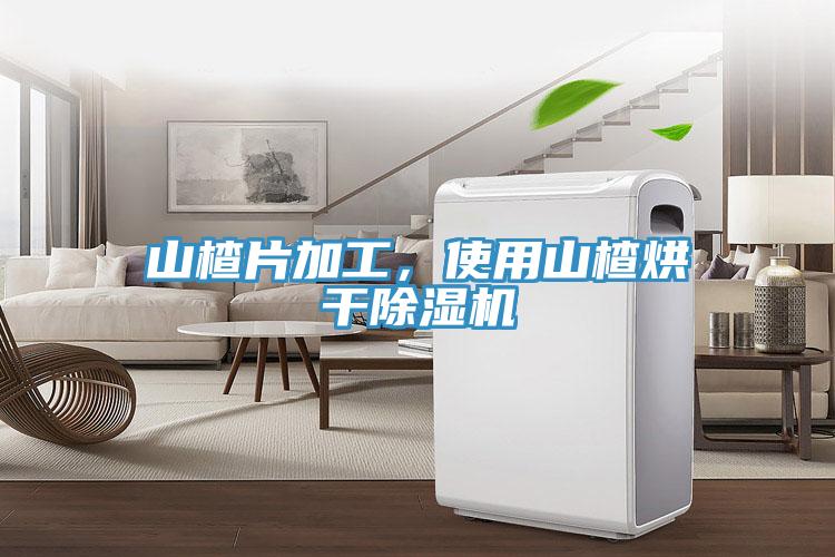 山楂片加工，使用山楂烘干除濕機