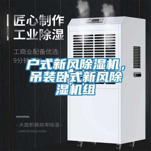 戶(hù)式新風(fēng)除濕機(jī)，吊裝臥式新風(fēng)除濕機(jī)組